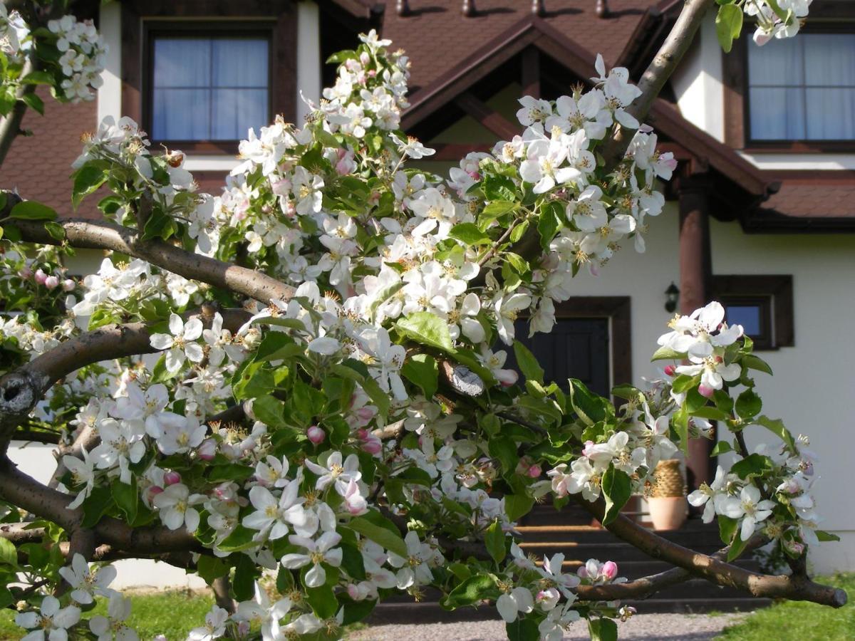 Dworek Lachowicze Grzegorzewice Ngoại thất bức ảnh